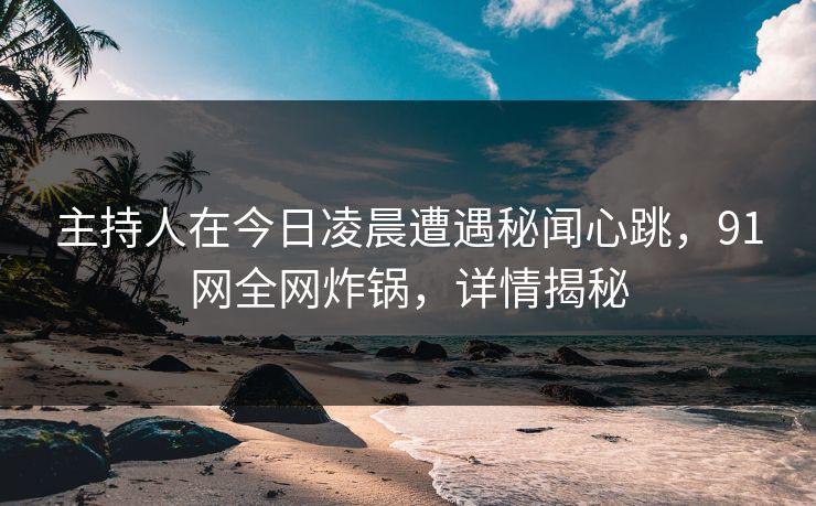 主持人在今日凌晨遭遇秘闻心跳，91网全网炸锅，详情揭秘
