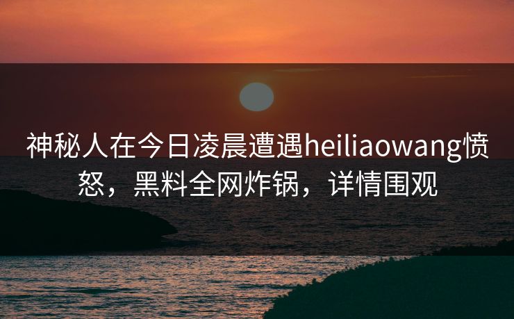 神秘人在今日凌晨遭遇heiliaowang愤怒，黑料全网炸锅，详情围观